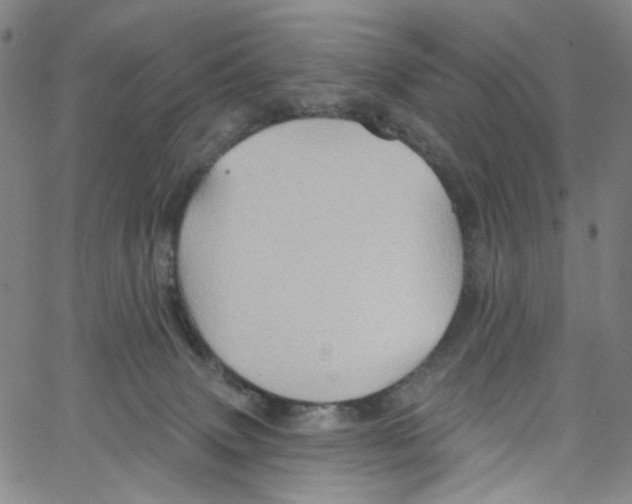 X0000067350083200604281453