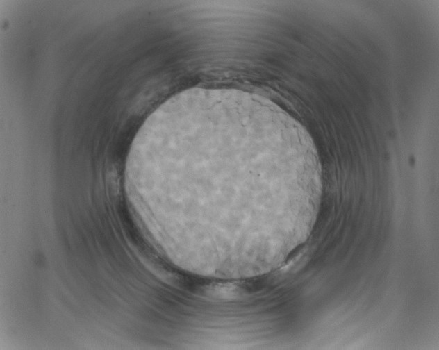 X0000067350086200604281453