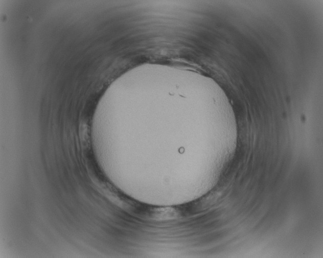 X0000067350087200604281453