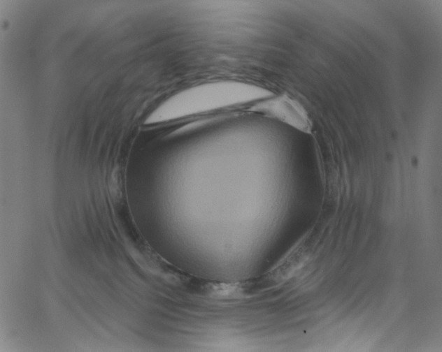 X0000067350088200604281453