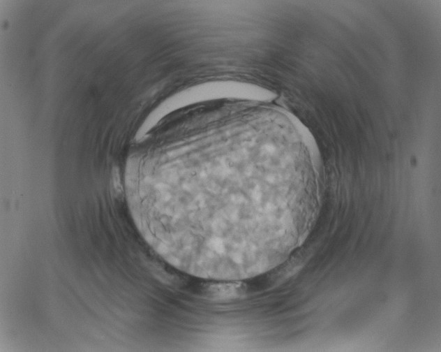 X0000067350089200604281453