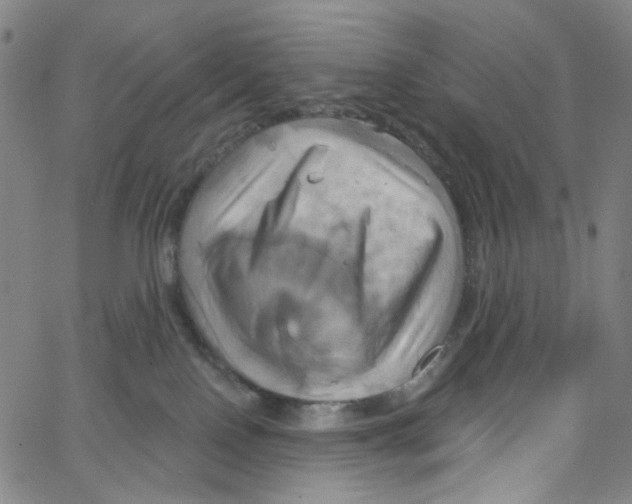 X0000067350090200604281453