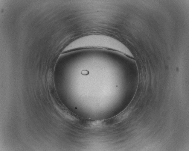 X0000067350092200604281453