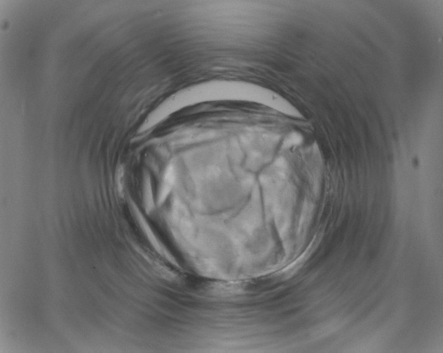 X0000067350094200604281453