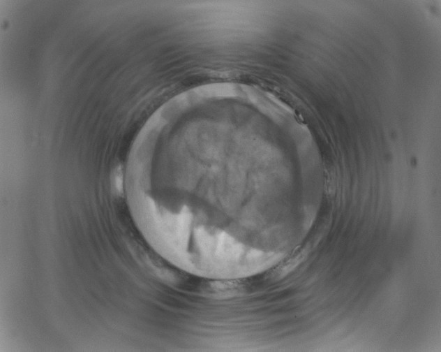 X0000067350095200604281453