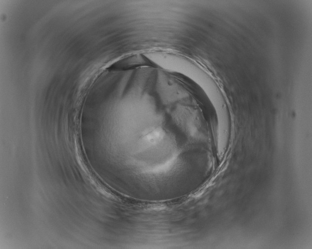 X0000067350097200604281452