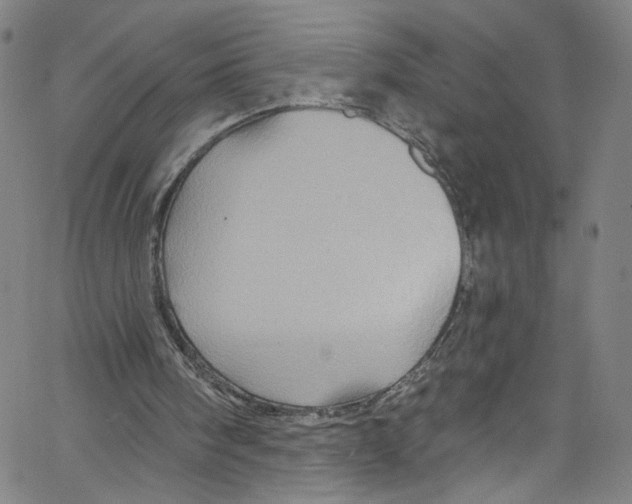 X0000067350098200604281452