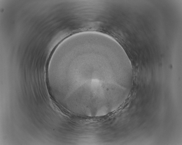 X0000067350100200604281452