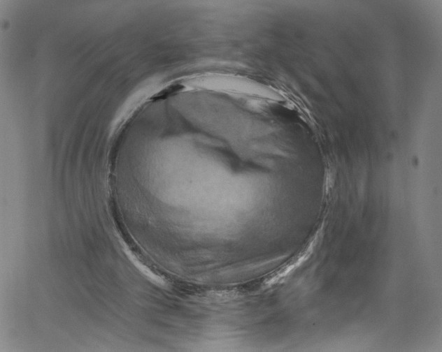 X0000067350101200604281452