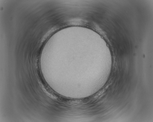 X0000067350106200604281452