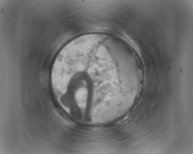 X0000067350107200604281452