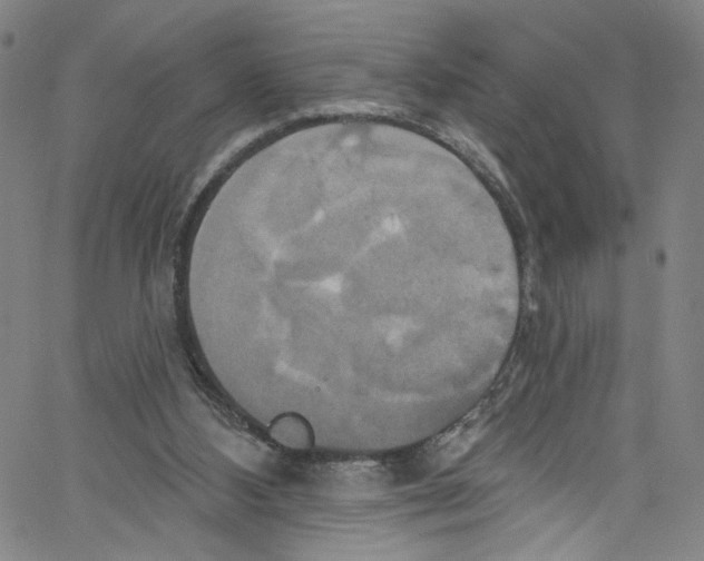 X0000067350108200604281452