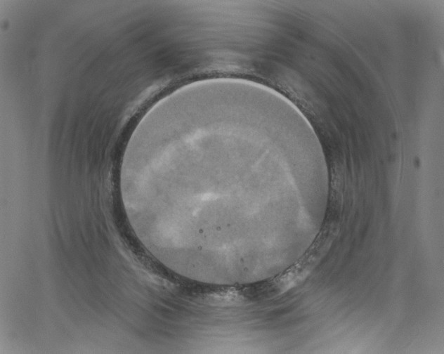 X0000067350112200604281452