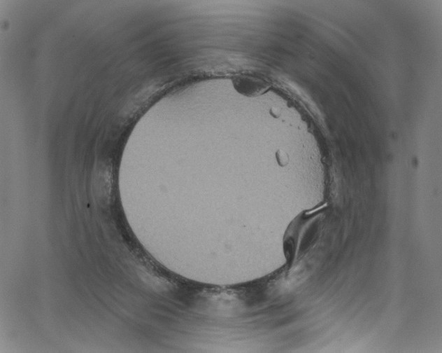 X0000067350113200604281452