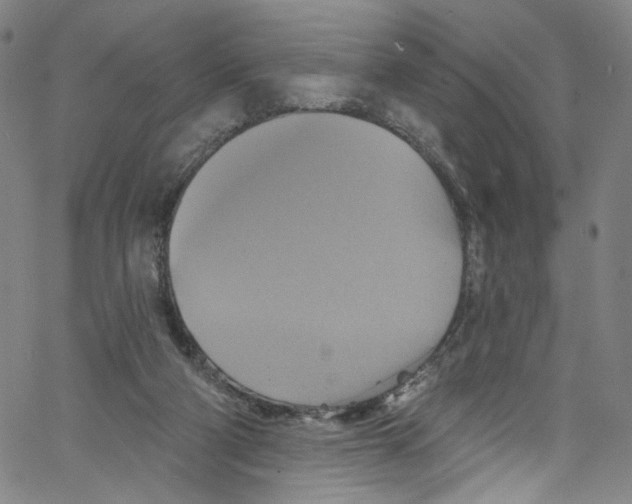 X0000067350114200604281452