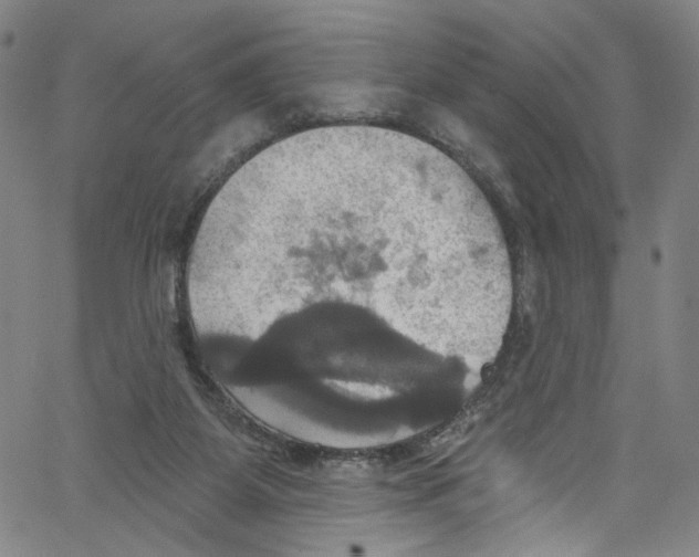 X0000067350115200604281452