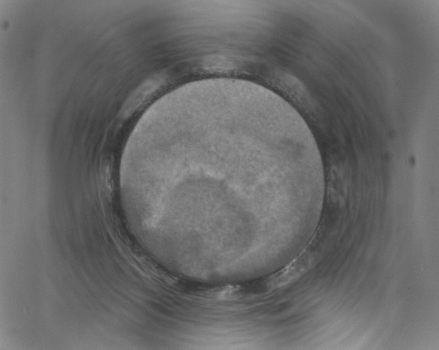 X0000067350116200604281452