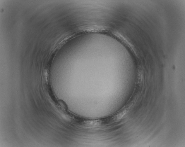 X0000067350117200604281452