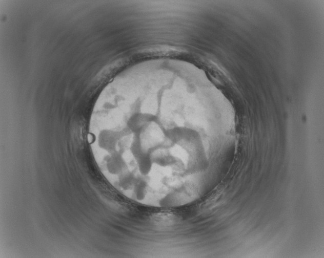 X0000067350119200604281452