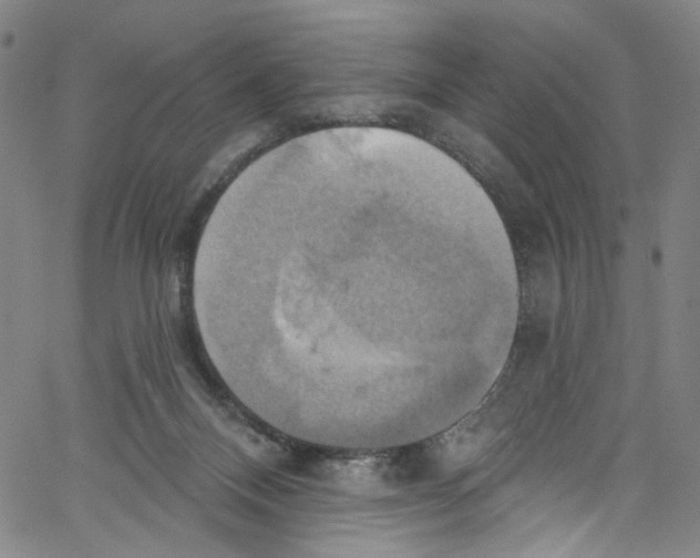 X0000067350120200604281452