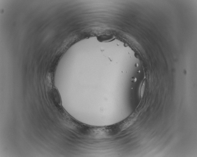 X0000067350121200604281452