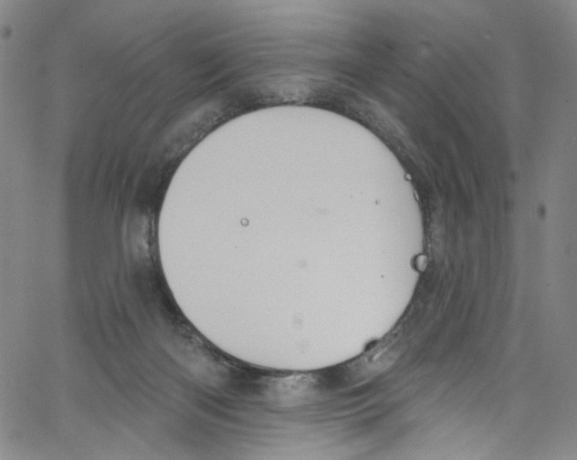 X0000067350122200604281452