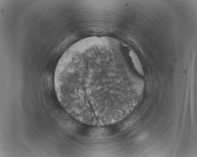 X0000067350123200604281452