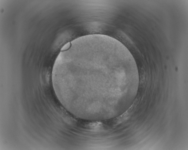 X0000067350124200604281452