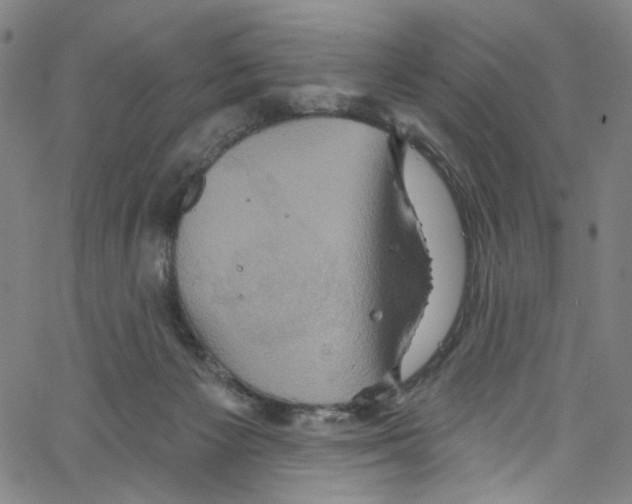 X0000067350125200604281452