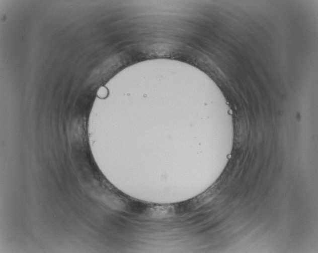 X0000067350126200604281452