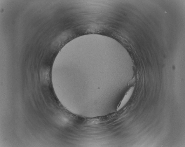 X0000067350127200604281452