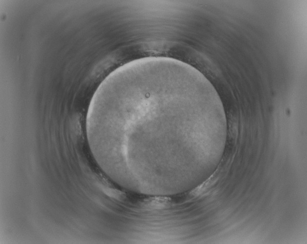 X0000067350128200604281452