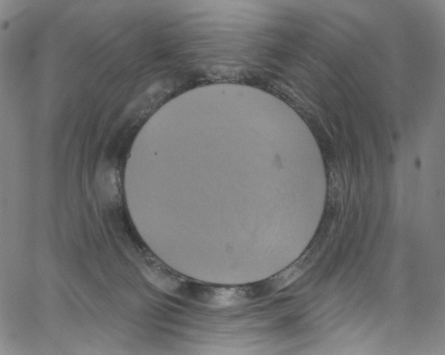 X0000067350130200604281452