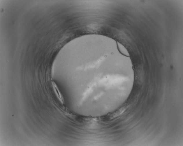 X0000067350131200604281451