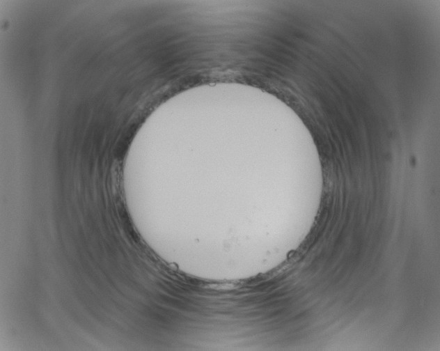 X0000067350133200604281451