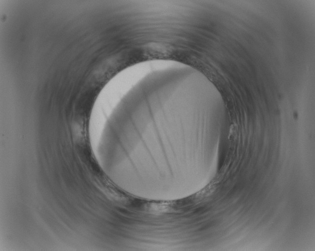 X0000067350134200604281451