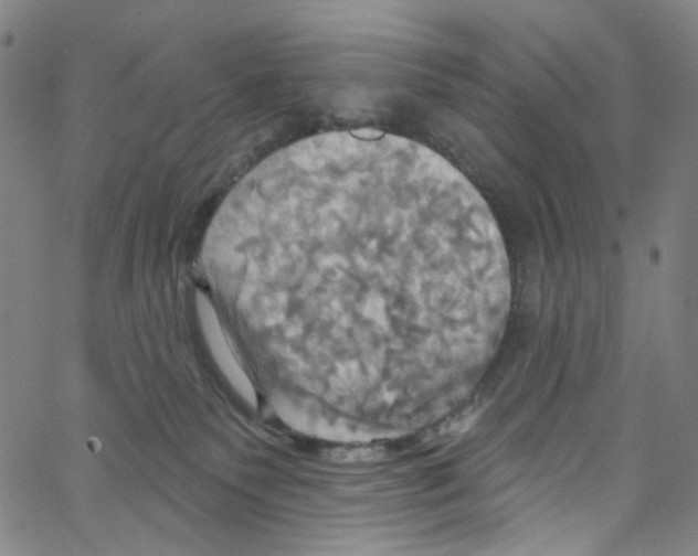 X0000067350135200604281451