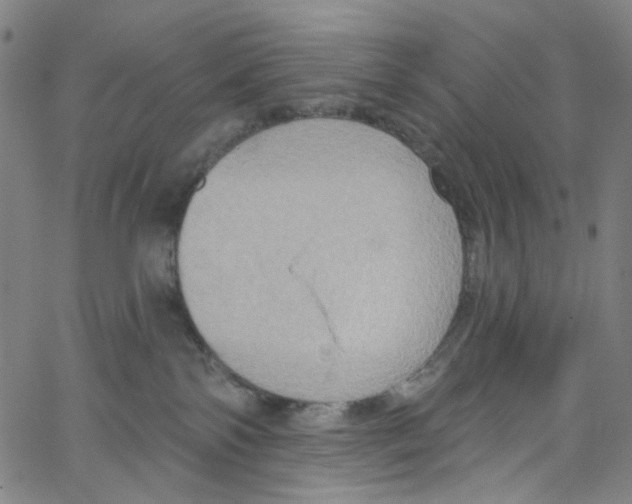 X0000067350138200604281451