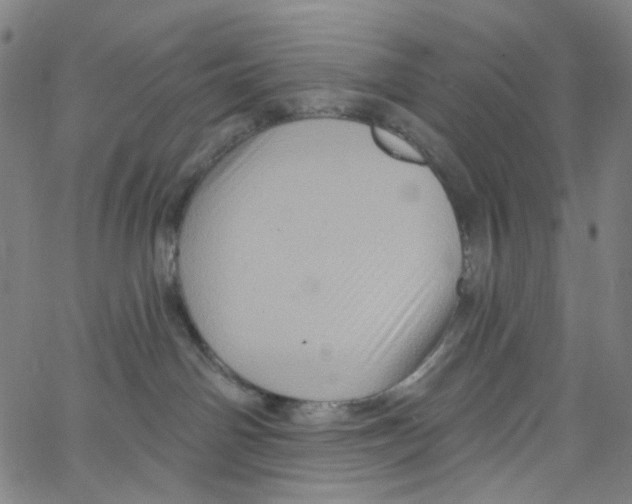 X0000067350142200604281451