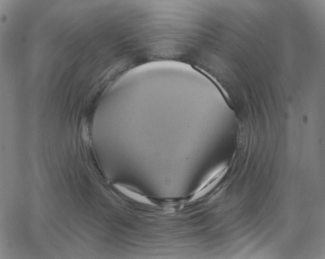 X0000067350143200604281451