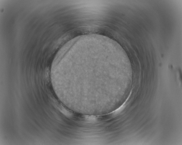 X0000067350144200604281451