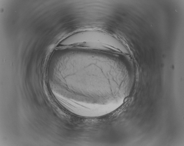 X0000067350145200604281450