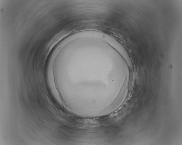 X0000067350146200604281451