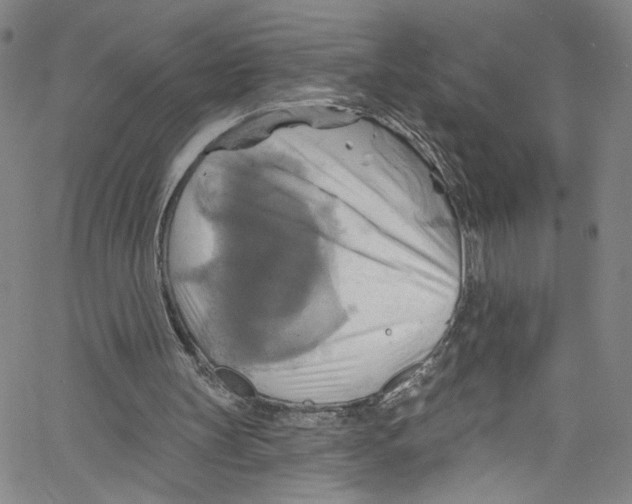 X0000067350147200604281451