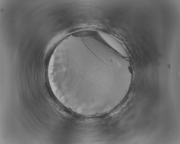 X0000067350149200604281451