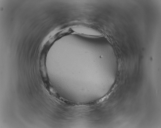 X0000067350150200604281451