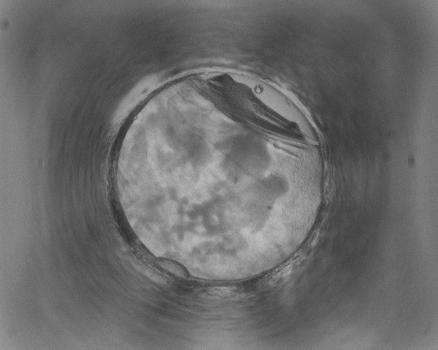 X0000067350151200604281451