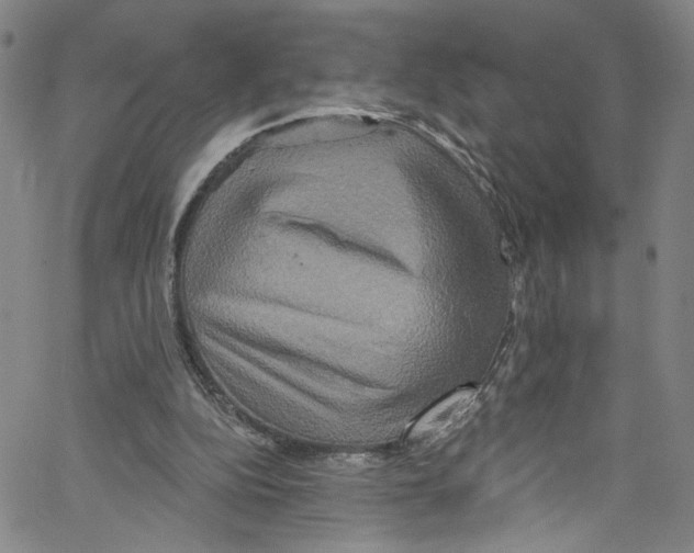 X0000067350152200604281451