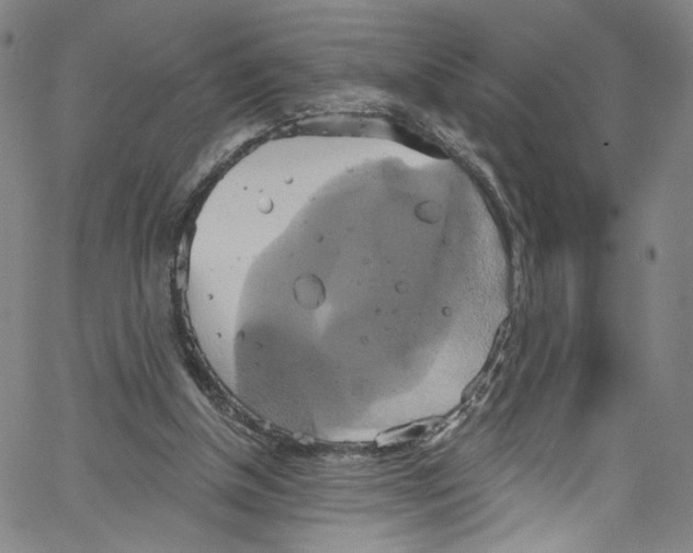 X0000067350154200604281451