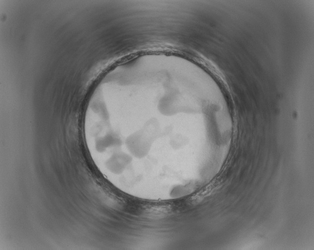 X0000067350155200604281451